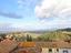 Immagine 13