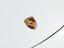 Immagine 26