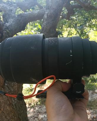sigma 120-400mm x canon