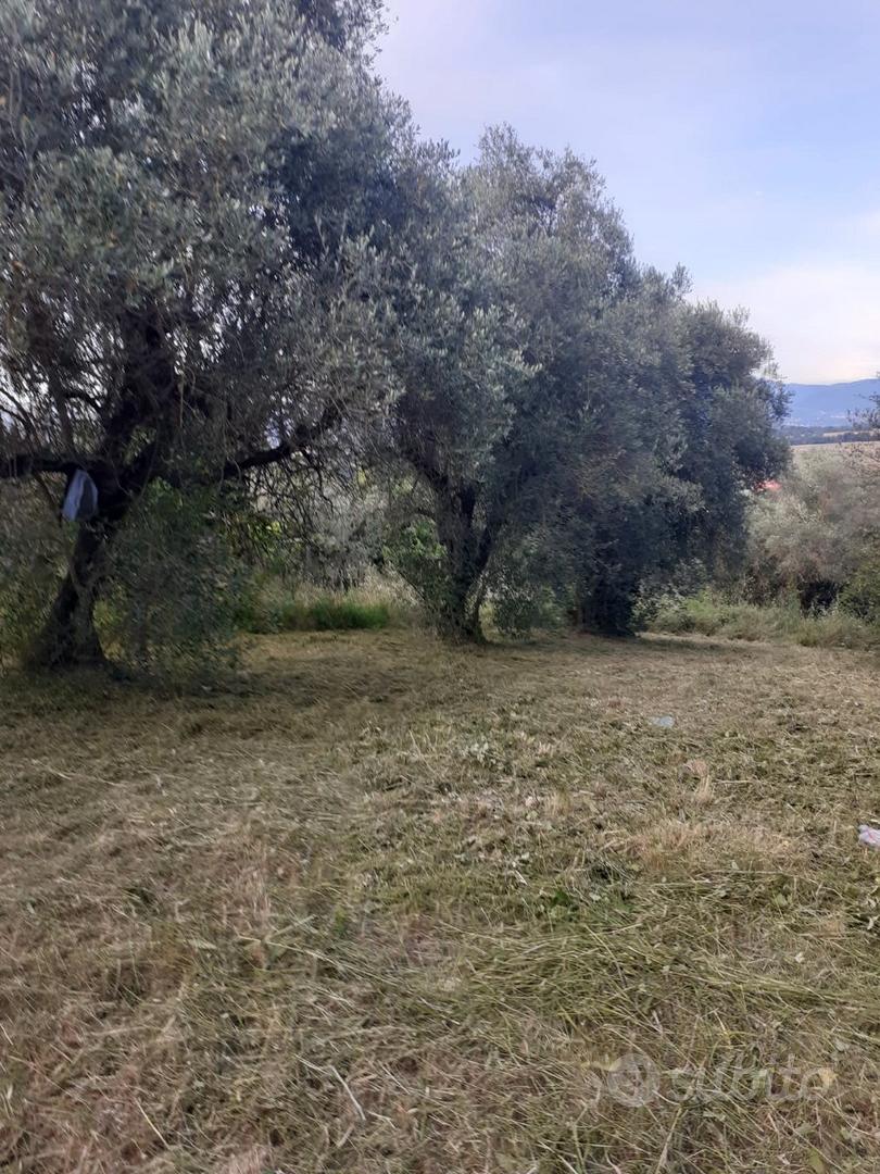 Terreno pregiato Reg. Edif. ind_cub.ra +49 - Vista 2