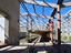 Immagine 17