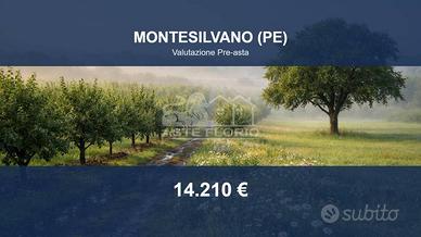 Immobile in asta di 1600 m² a Montesilvano