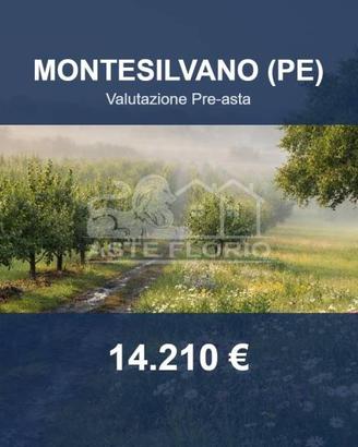 Immobile in asta di 1600 m² a Montesilvano