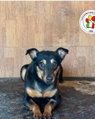 TEA sei ancora tanto giovane