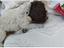 Immagine 6