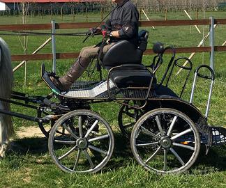 Carrozza cavalli