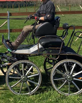 Carrozza cavalli