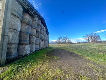 Capannone con 1 ettaro di Terra