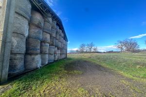 Capannone con 1 ettaro di Terra
