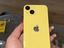 Immagine 6