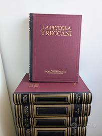 La piccola Treccani del 1995 - 14 volumi