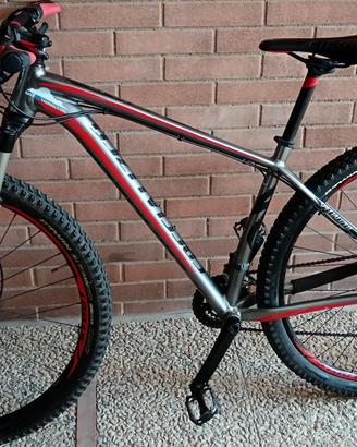 Specialized Crave Expert 29