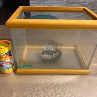 Acquario per Pesce Rosso con cibo