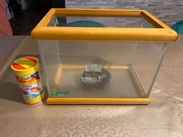 Acquario per Pesce Rosso con cibo