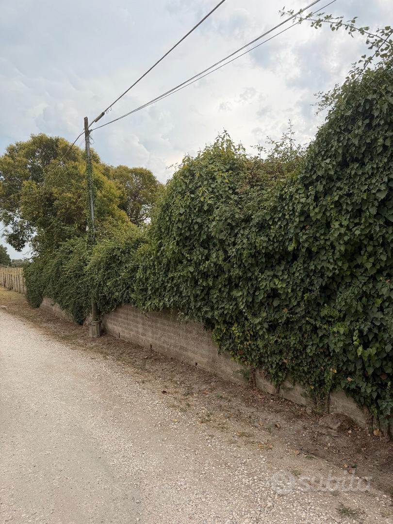 Terreno Agricolo - Altro