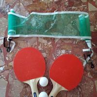 GIOCO PING PONG