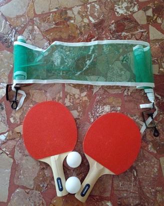 GIOCO PING PONG