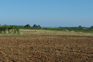 Terreno con fabbricato