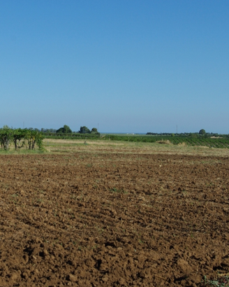 Terreno con fabbricato