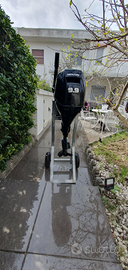 Tender 3 mt + motore mercury 10 cv + carrello +