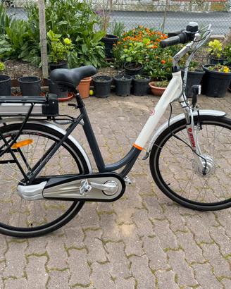Bicicletta electrica