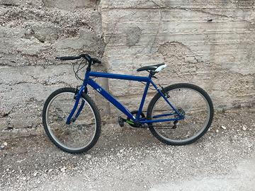 Bici da collezzione perugina