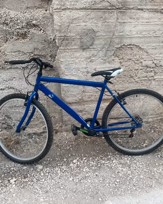 Bici da collezzione perugina