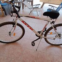 Bicicletta mountain bike