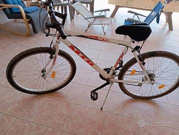 Bicicletta mountain bike