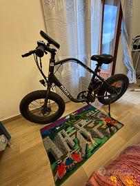 Bicicletta elettrica