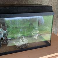 Acquario 50 euro trattabile