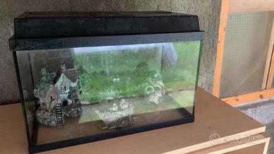 Acquario 50 euro trattabile
