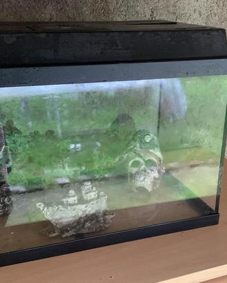 Acquario 50 euro trattabile