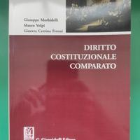 Diritto costituzionale comparato 