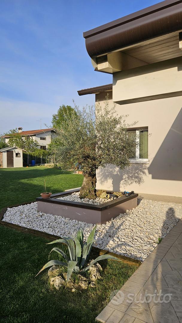 Casa – Azzano Decimo, Borgo Colle - Altro
