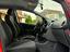 Immagine 9