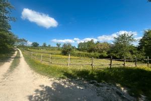 Terreno agricolo