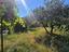 Immagine 27