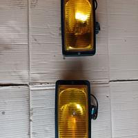 coppia fari antinebbia