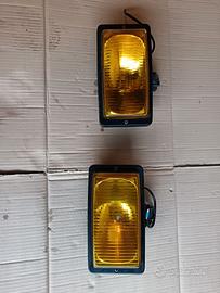 coppia fari antinebbia