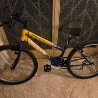 Bici ragazzo 24 pollici, 18 velocità,freni v brake