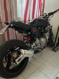 Honda hornet