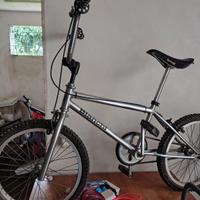 Bi.mx. bianchi