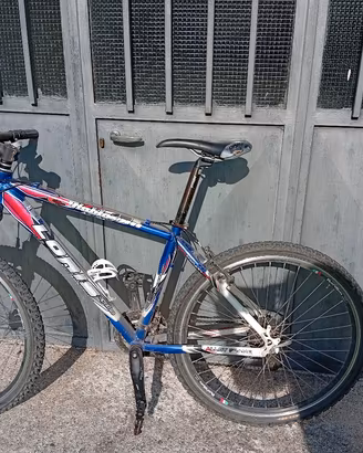 bicicletta 