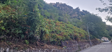 Appezzamento di terreno