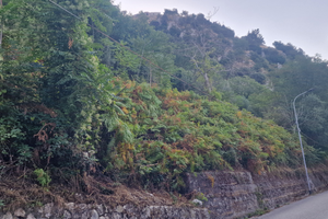 Appezzamento di terreno