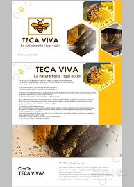 Teca Viva 