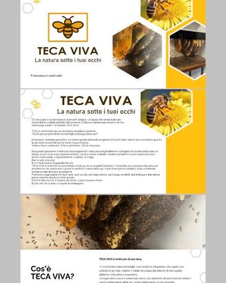 Teca Viva 