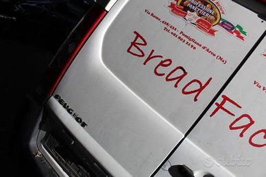 PORTIERA POSTERIORE SINISTRA PEUGEOT Expert 3Â° Se