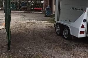 carrello per trasporto cavalli